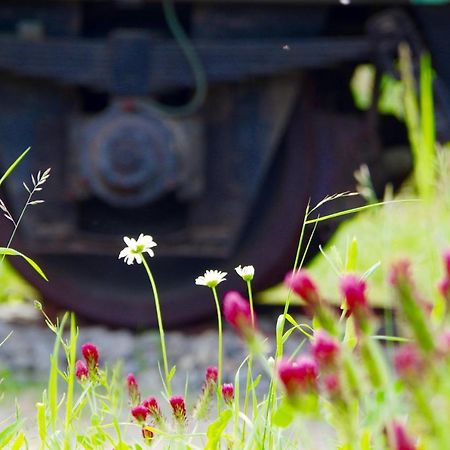 Vila Urlaubsbahnhof-Schlafwagen Lauterbach  Exteriér fotografie