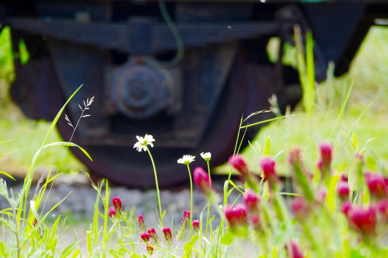 Vila Urlaubsbahnhof-Schlafwagen Lauterbach  Exteriér fotografie